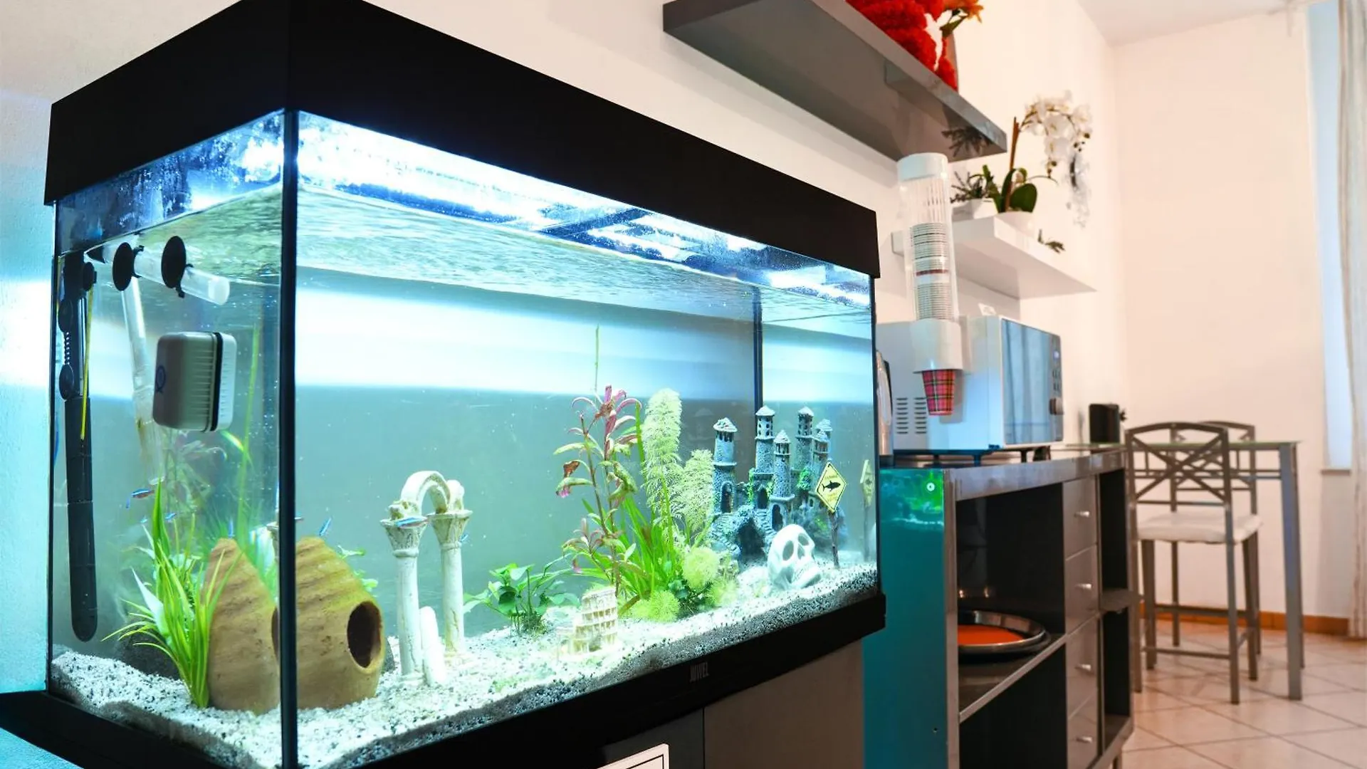 Smart Hotel Ferrara